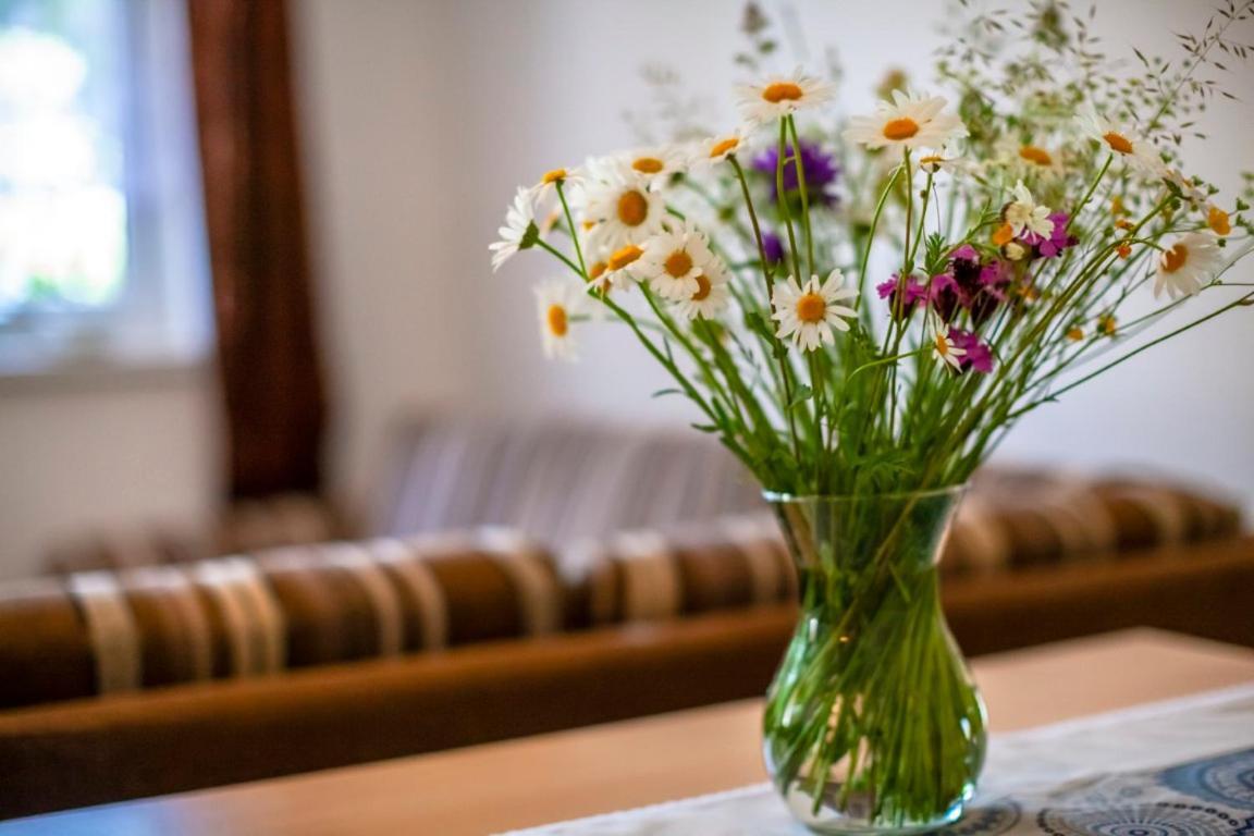 Apartman Skalka 11 Donovaly Zewnętrze zdjęcie